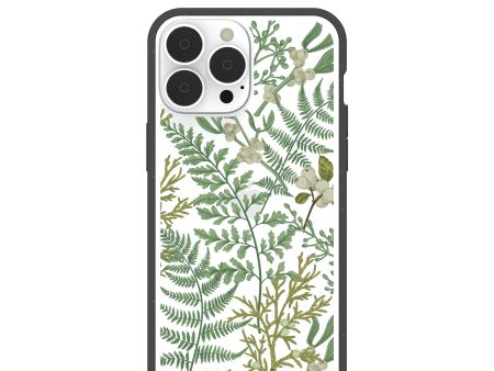 Clear Herbarium iPhone 13 Pro Max Case With Black Ridge Online Sale