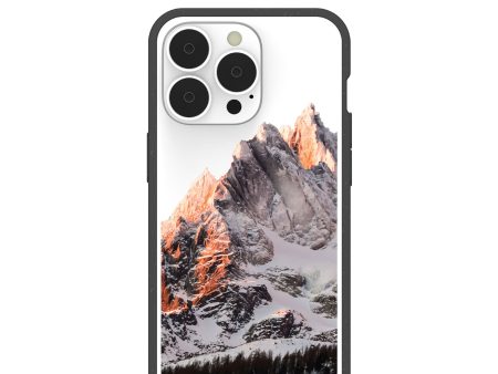 Clear Alps iPhone 13 Pro Case With Black Ridge Cheap