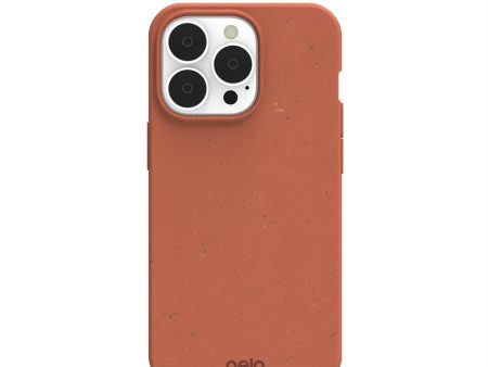 Terracotta iPhone 13 Pro Case Fashion