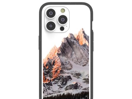 Clear Alps iPhone 14 Pro Case With Black Ridge Discount