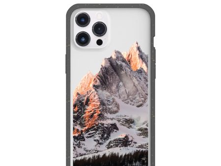 Clear Alps iPhone 12 Pro Max Case With Black Ridge Online now